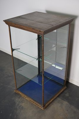 Victorian Painted Mahogany Shop Display Cabinet Vitrine, Late 19th Century-XO-1158541