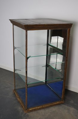 Victorian Painted Mahogany Shop Display Cabinet Vitrine, Late 19th Century-XO-1158541