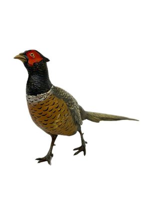 Viennese Bronze Pheasant, 1900-UCH-1224355