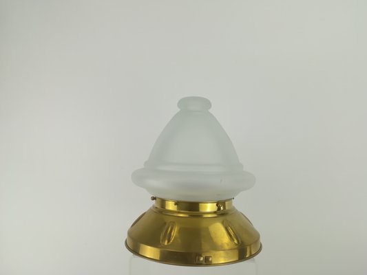 Viennese Ceiling Lamp with Oral Blades, 1920s-KDB-1417141