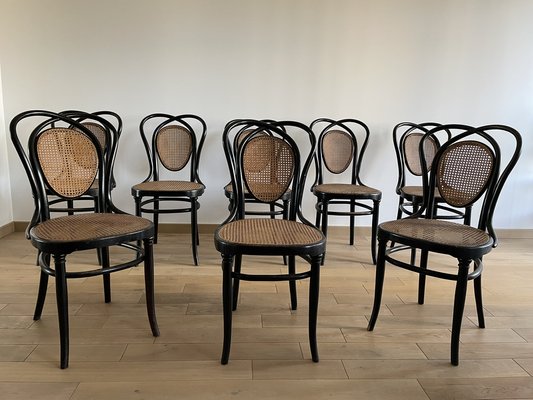 Viennese Chairs N.33 by J & J Kohn, 1900, Set of 8-OTV-1093292