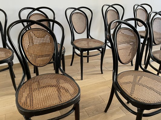 Viennese Chairs N.33 by J & J Kohn, 1900, Set of 8-OTV-1093292