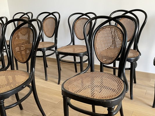 Viennese Chairs N.33 by J & J Kohn, 1900, Set of 8-OTV-1093292