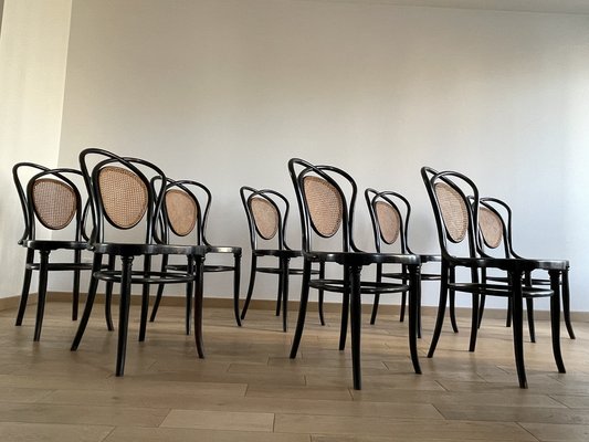 Viennese Chairs N.33 by J & J Kohn, 1900, Set of 8-OTV-1093292