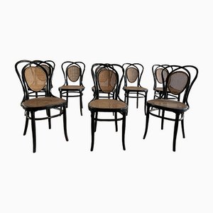 Viennese Chairs N.33 by J & J Kohn, 1900, Set of 8-OTV-1093292