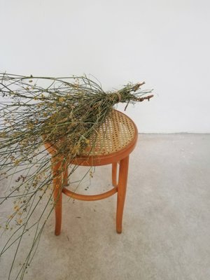 Viennese Wood and Straw Stool-UIW-1154862