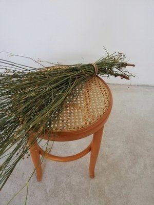 Viennese Wood and Straw Stool-UIW-1154862