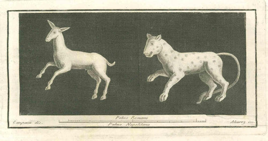 Vincenzo Campana, Animals Pompeian Fresco, Etching, 18th Century