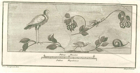 Vincenzo Campana, Birds Pompeian Fresco, Etching, 18th Century