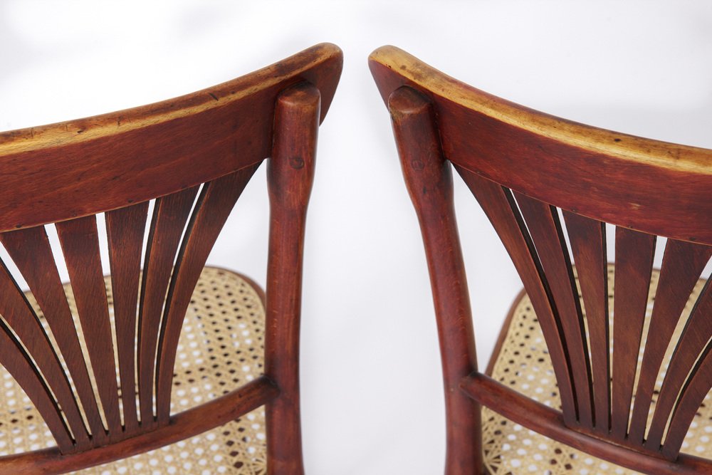 Vintage #221 Chairs from Thonet, Set of 2