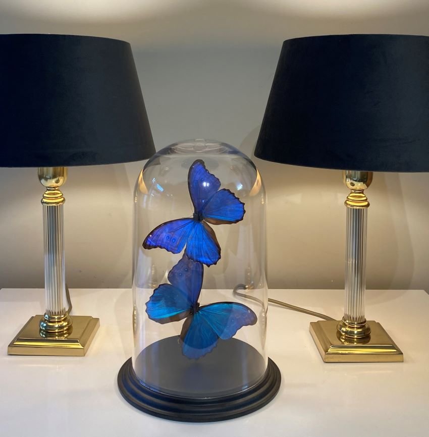 Vintage Acrylic Brass Table Lamp from Le Dauphin, 1970s