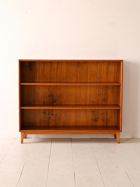 Vintage Archive Cabinet, 1960s