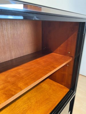 Vintage Bauhaus Office Cabinet in Black Lacquer and Mahogany, 1930-NNB-1772829