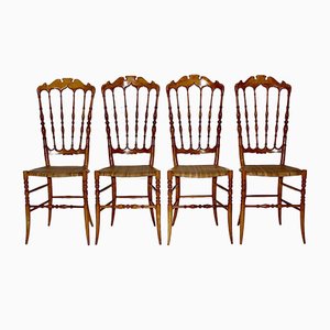 Vintage Beech Chiavari Dining Chairs, 1950s, Set of 4-NB-801566