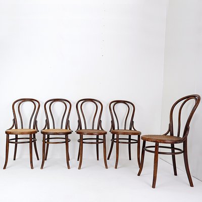 Vintage Bentwood Chairs from the Fischel Company, Set of 5-NYF-2019040