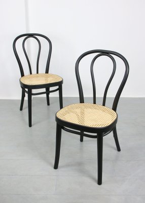 Vintage Bentwood No. 218 Chairs, Set of 2-HGJ-1123826