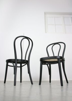 Vintage Bentwood No. 218 Chairs, Set of 2-HGJ-1123826