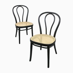 Vintage Bentwood No. 218 Chairs, Set of 2-HGJ-1123826