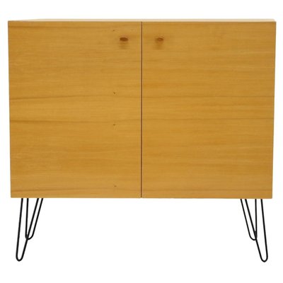 Vintage Birch & Iron Cabinet, 1970s-TZ-1296237