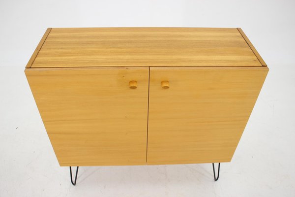 Vintage Birch & Iron Cabinet, 1970s-TZ-1296237