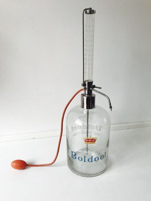 Vintage Boldoot Display Bottle, 1956-WQJ-778637