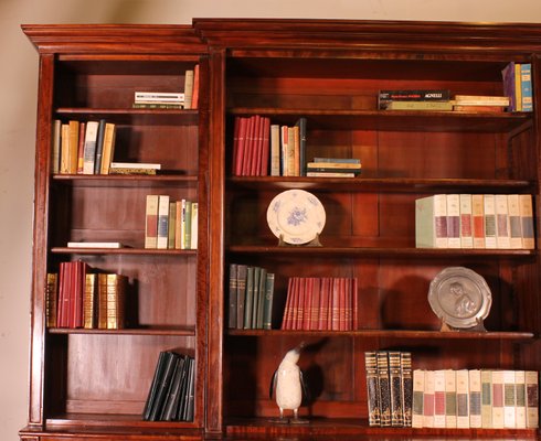 Vintage Bookcase in Mahogany, 19th Century-HPU-1717951