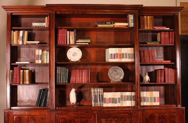 Vintage Bookcase in Mahogany, 19th Century-HPU-1717951