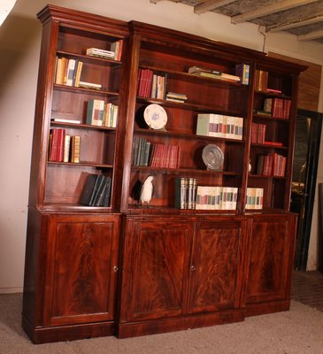 Vintage Bookcase in Mahogany, 19th Century-HPU-1717951