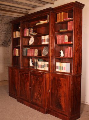 Vintage Bookcase in Mahogany, 19th Century-HPU-1717951