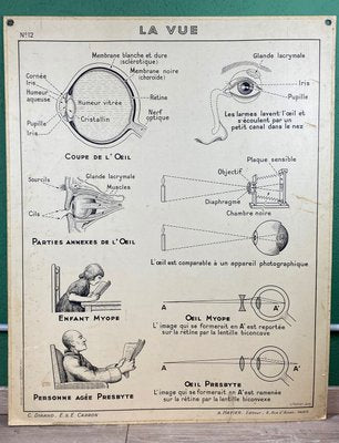 Vintage Cardboard Senses Poster-ROJ-1316814