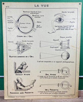 Vintage Cardboard Senses Poster-ROJ-1316814