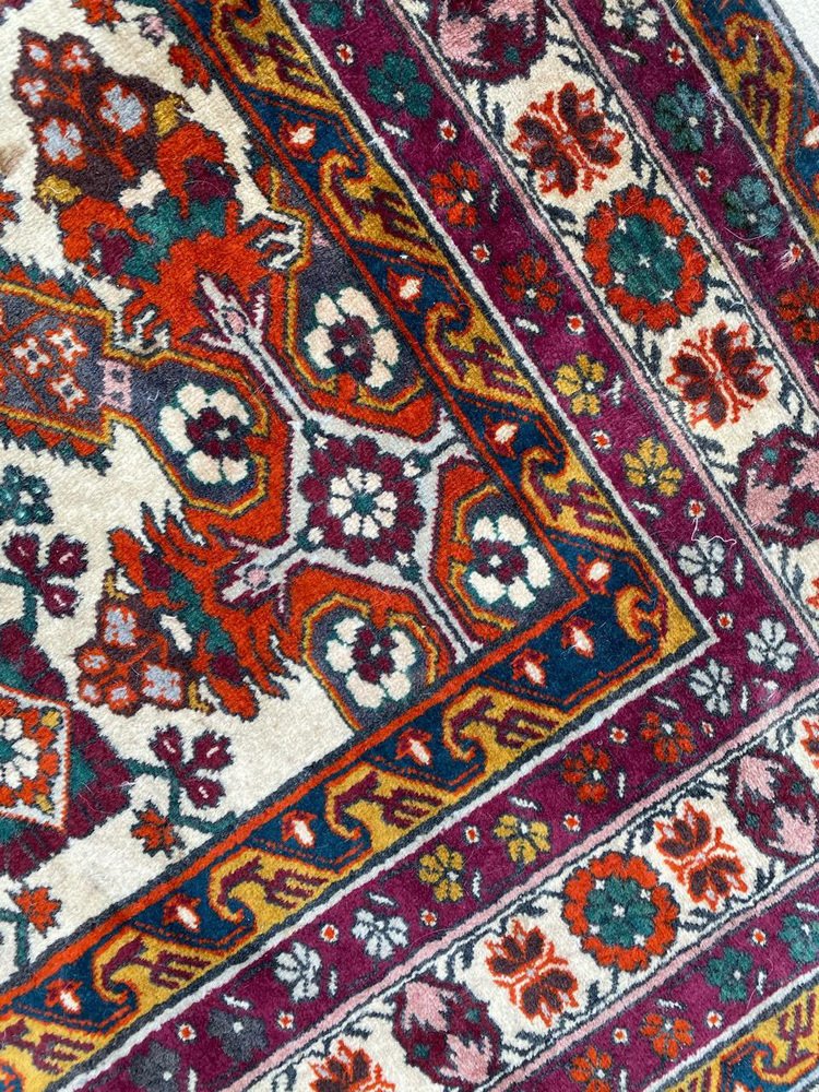 Vintage Caucasian Shirwan Rug, 1960s