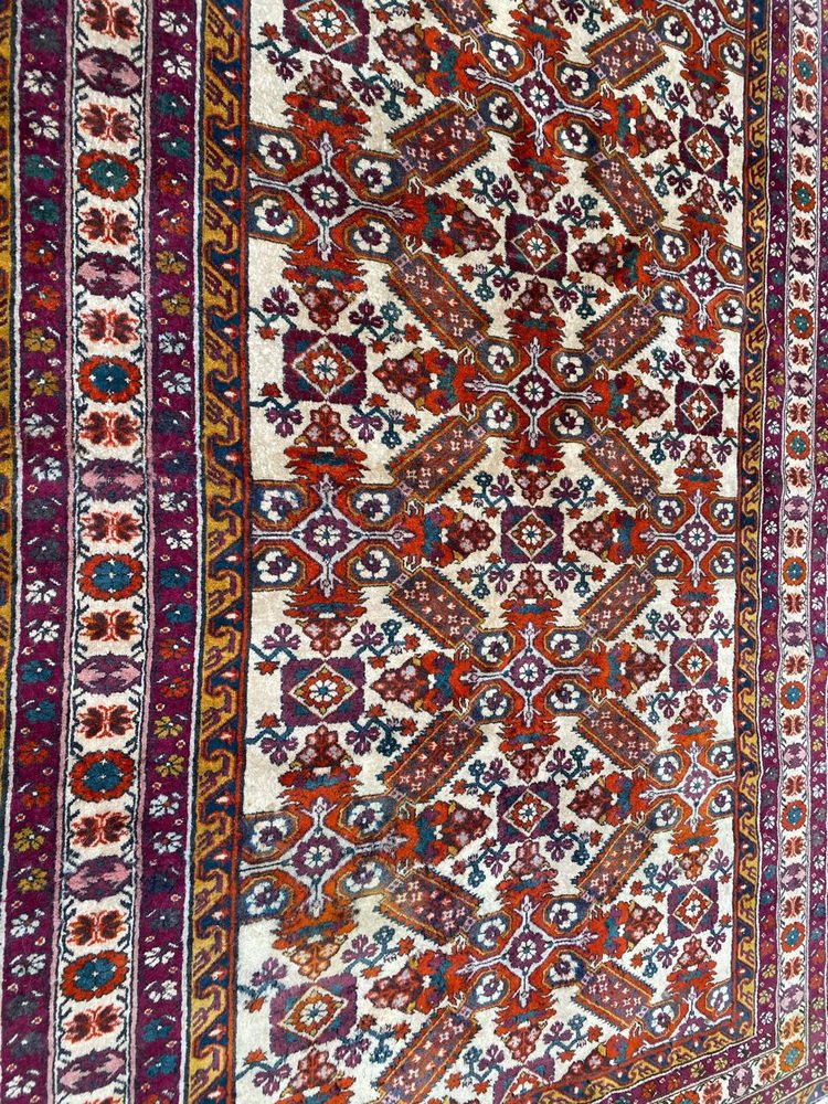 Vintage Caucasian Shirwan Rug, 1960s