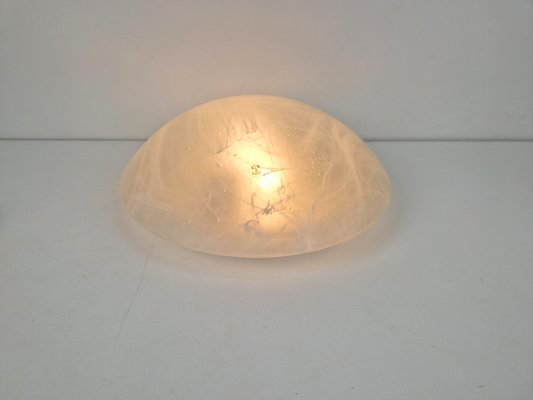 Vintage Ceiling Lamp in Frosted Glass from Peill & Putzler, 1960s-AXJ-2020543