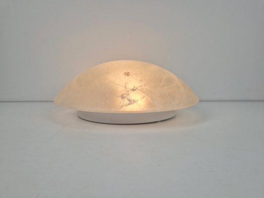 Vintage Ceiling Lamp in Frosted Glass from Peill & Putzler, 1960s-AXJ-2020543