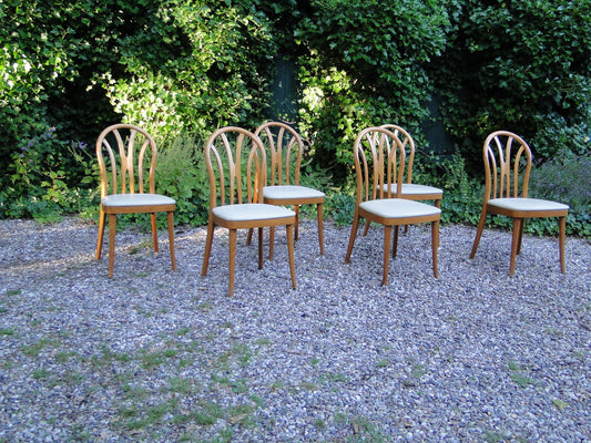 Vintage Chairs in Beech from a Cafe, 1950s, Set of 6