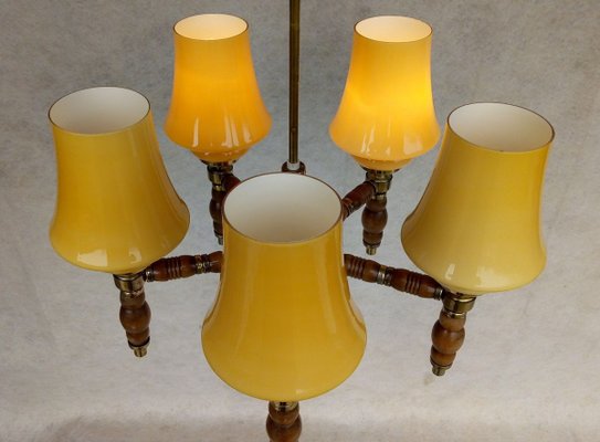 Vintage Chandelier, 1960s-VIC-883726