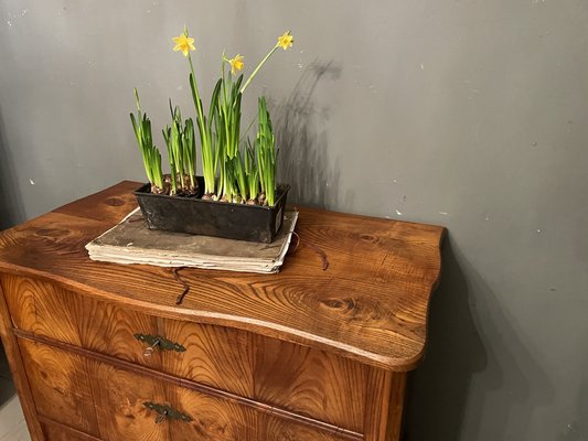 Vintage Chest of Drawers, 1890s-WWE-1794777