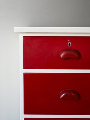 Vintage Chest of Drawers in Lacquered Wood, 1960s-QWP-2042014