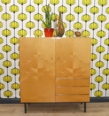 Vintage Cloth Cabinet on Steel Tube Legs, 1960s-AFE-1769051