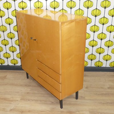 Vintage Cloth Cabinet on Steel Tube Legs, 1960s-AFE-1769051