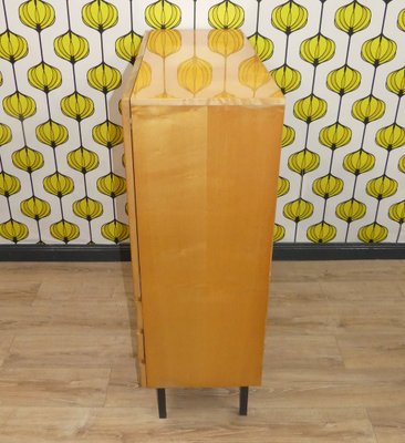 Vintage Cloth Cabinet on Steel Tube Legs, 1960s-AFE-1769051