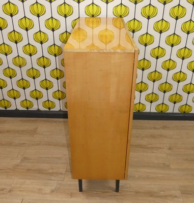 Vintage Cloth Cabinet on Steel Tube Legs, 1960s-AFE-1769051