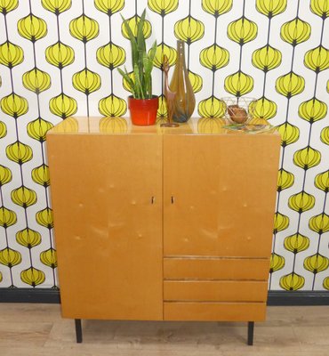 Vintage Cloth Cabinet on Steel Tube Legs, 1960s-AFE-1769051