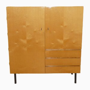 Vintage Cloth Cabinet on Steel Tube Legs, 1960s-AFE-1769051