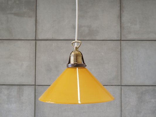 Vintage Danish Pendant Lamp from Søholm, 1960s-VND-2019887