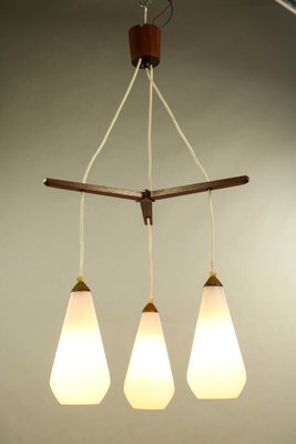 Vintage Danish Teak Glass Cascade Pendant Lamp, 1960s-FUP-716332