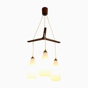 Vintage Danish Teak Glass Cascade Pendant Lamp, 1960s-FUP-716332