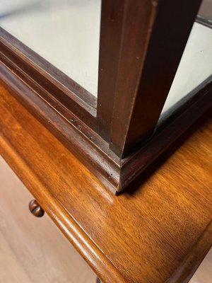 Vintage Display Cabinet in Mahogany-CUP-1791831