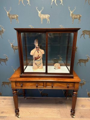 Vintage Display Cabinet in Mahogany-CUP-1791831